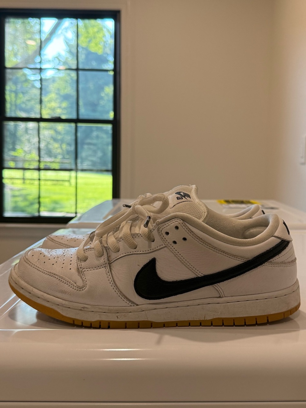 Nike Sb Dunk Low Pro